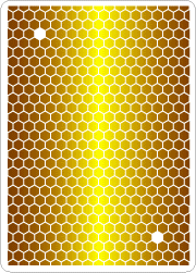 Honey-cam　（トレカ素材）