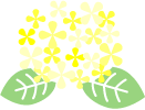 あじさい（黄）