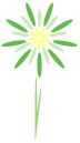 花火（緑）