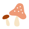 きのこ（2種）