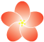 紅梅